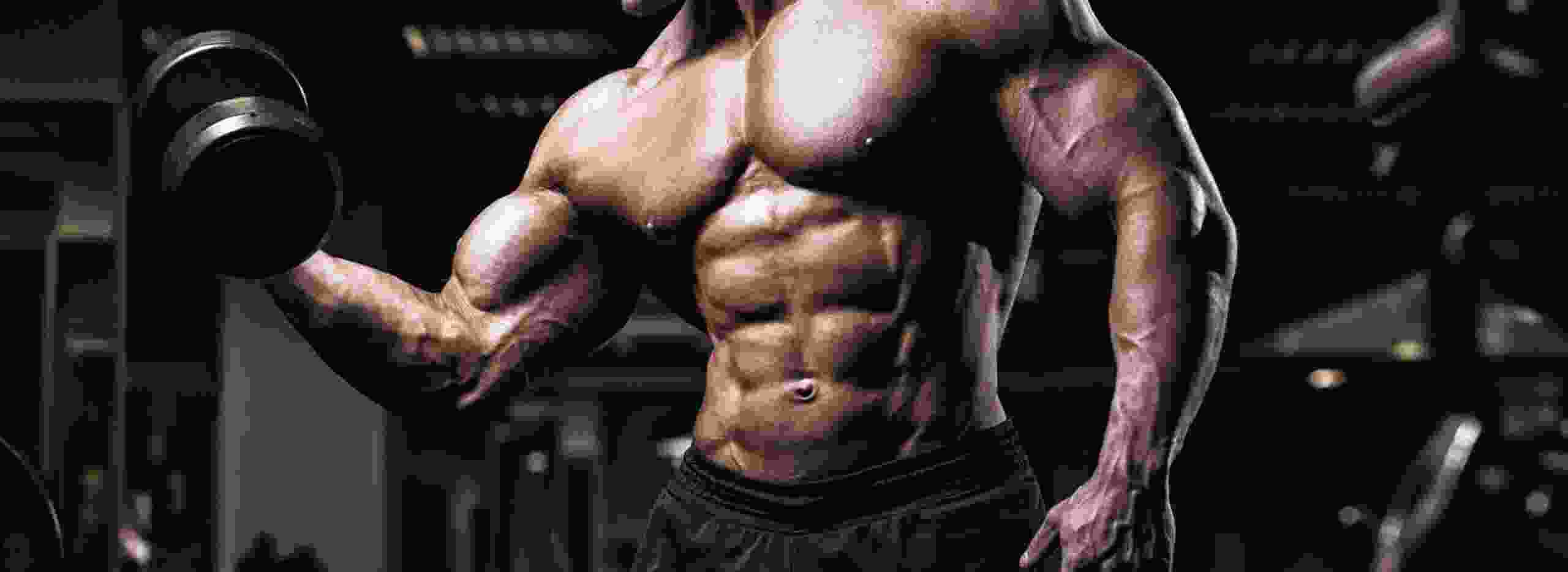 h7-gallery-showcase-img-1(i)